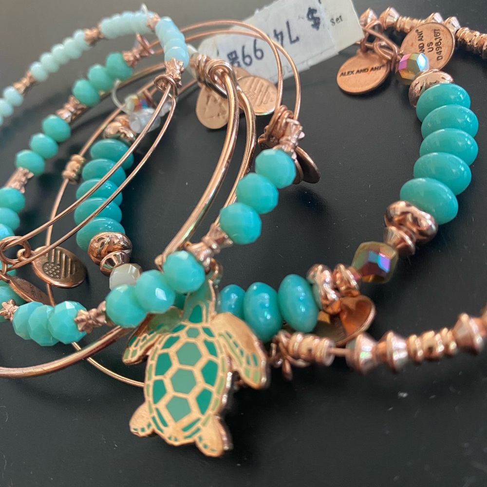 COPY - Alex and Ani Layered bracelet with Turtle Charm